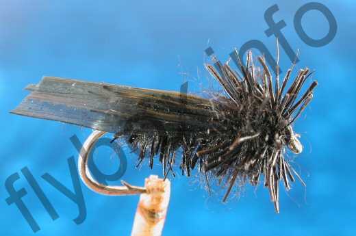 Fish4Flies Black Moser Adult Sedge